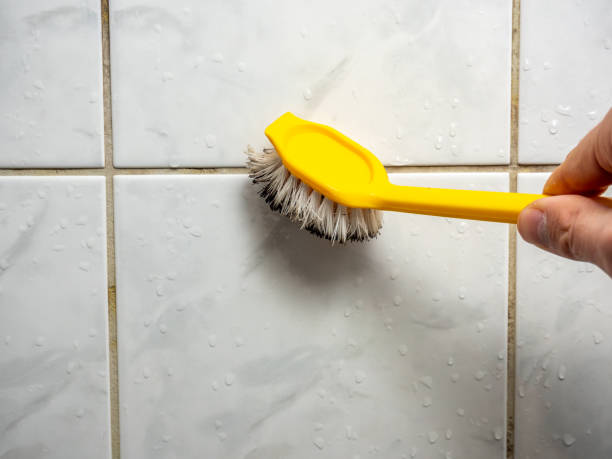 Best Local Mold Removal Service  in San Buenaventura, CA