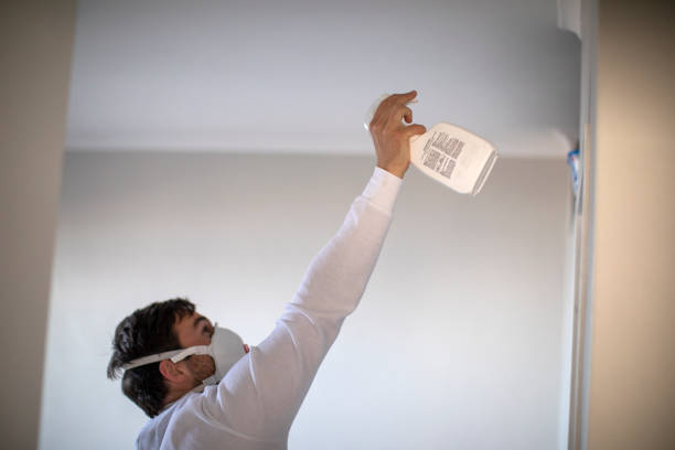 Best Emergency Mold Removal  in San Buenaventura, CA