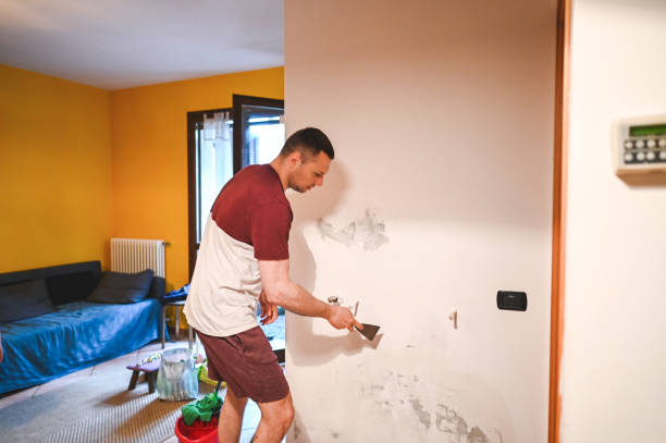 Best Black Mold Removal  in San Buenaventura, CA